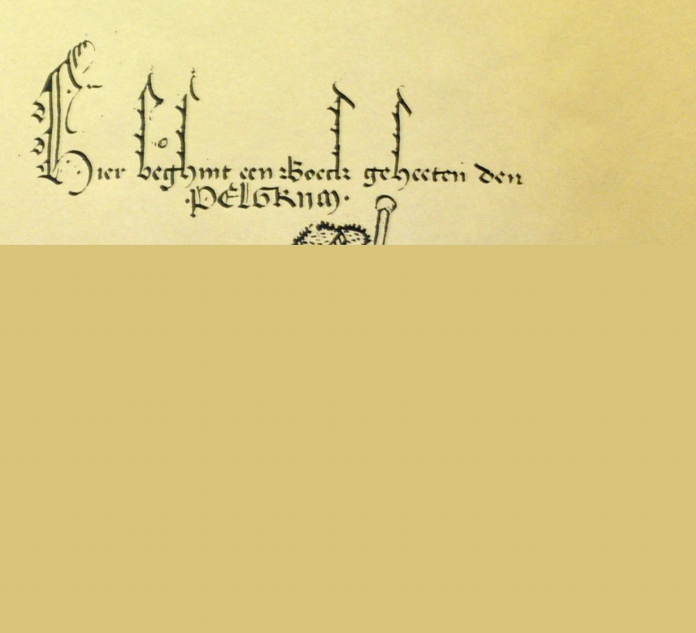 Pelgrim in het Labyrinth